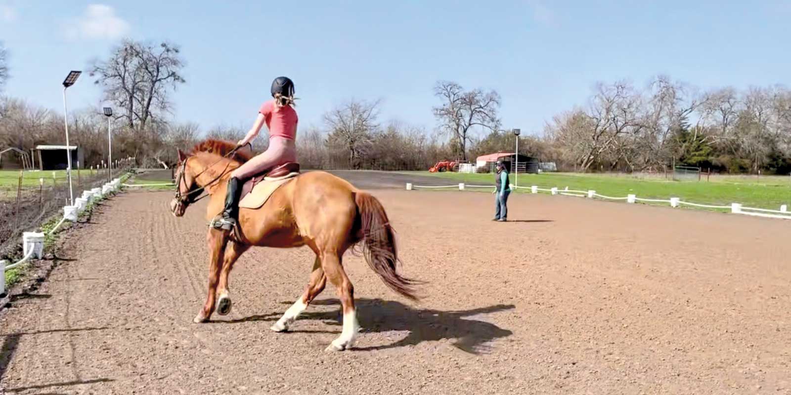 Lessons in the Saddle
