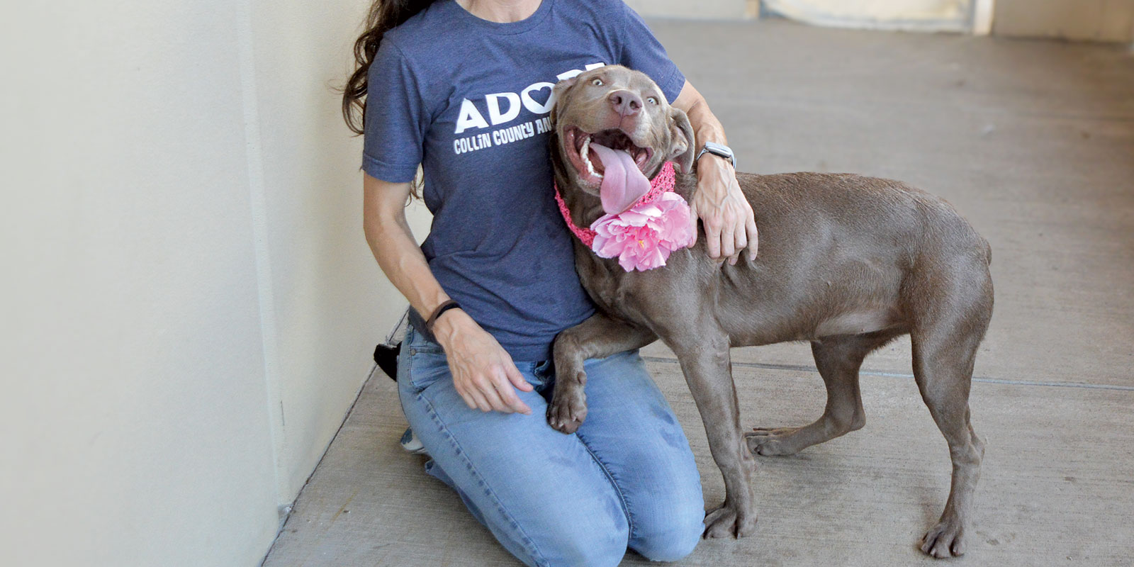 Adopt Acadia