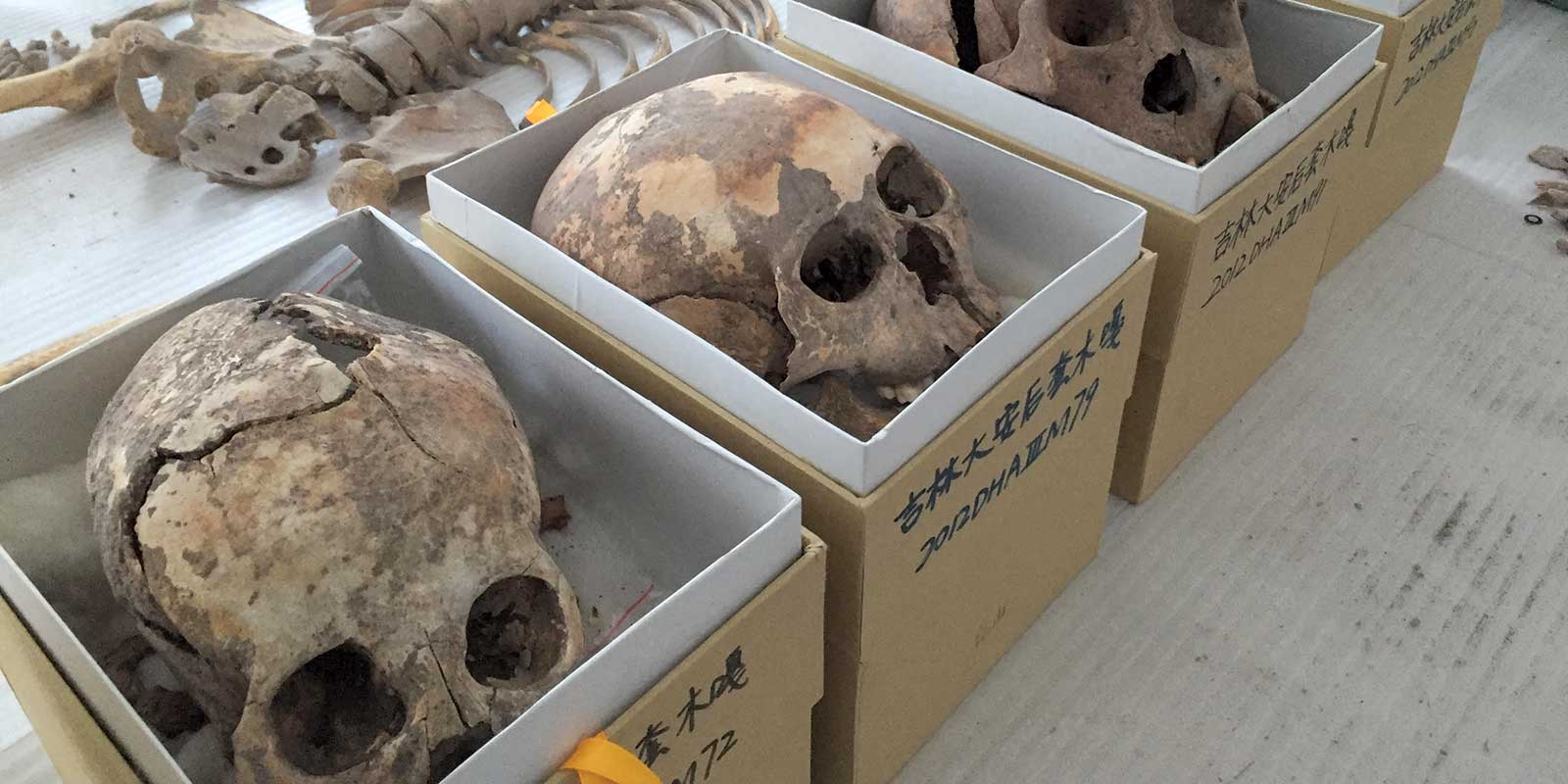 Tracing Ancient Mysteries