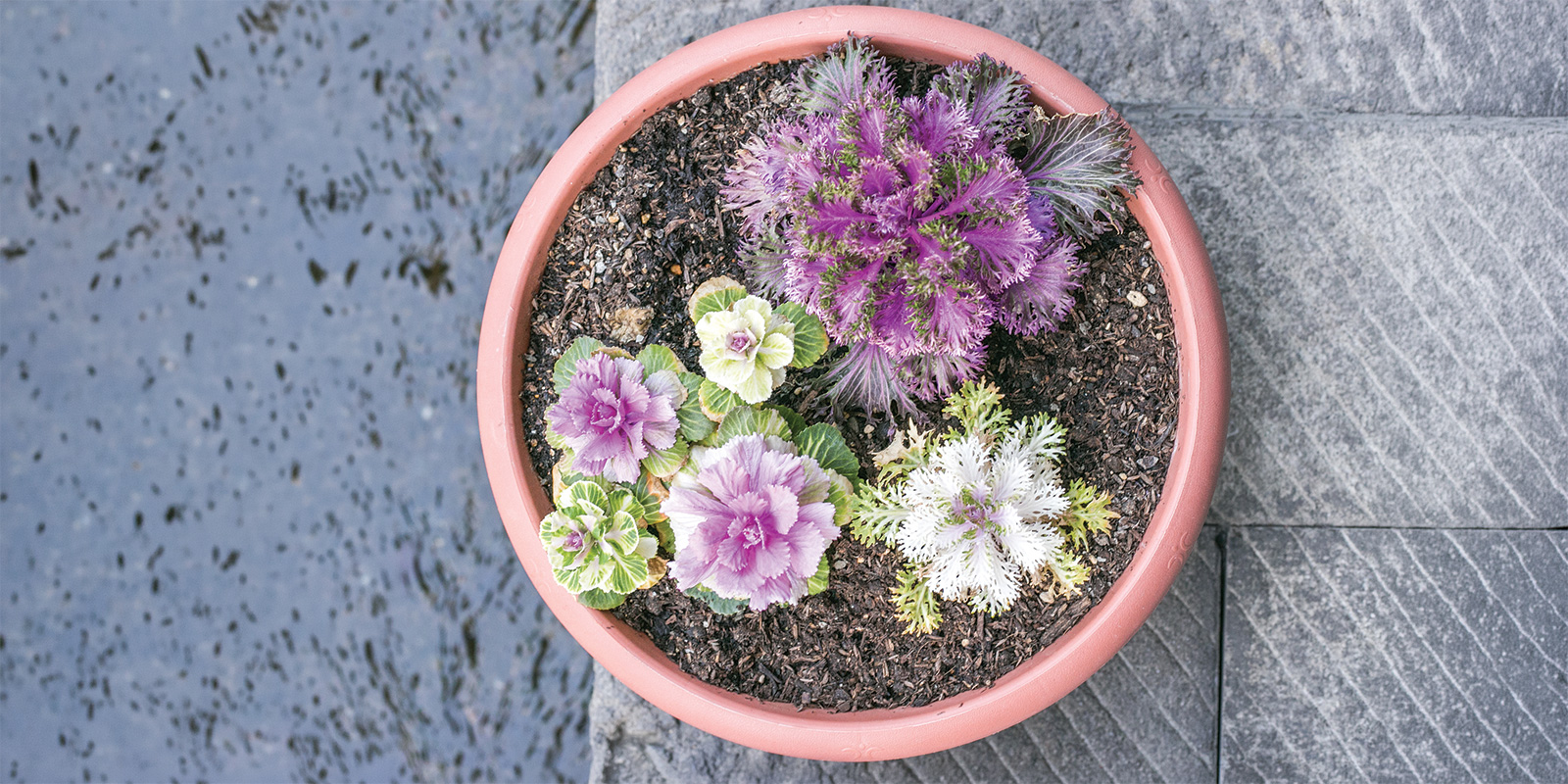 Pots of Possibility